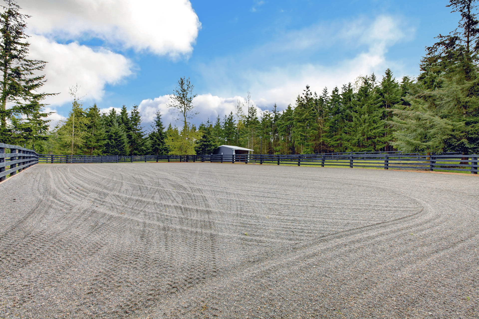 Beautiful completed equestrian arena surrounded by trees